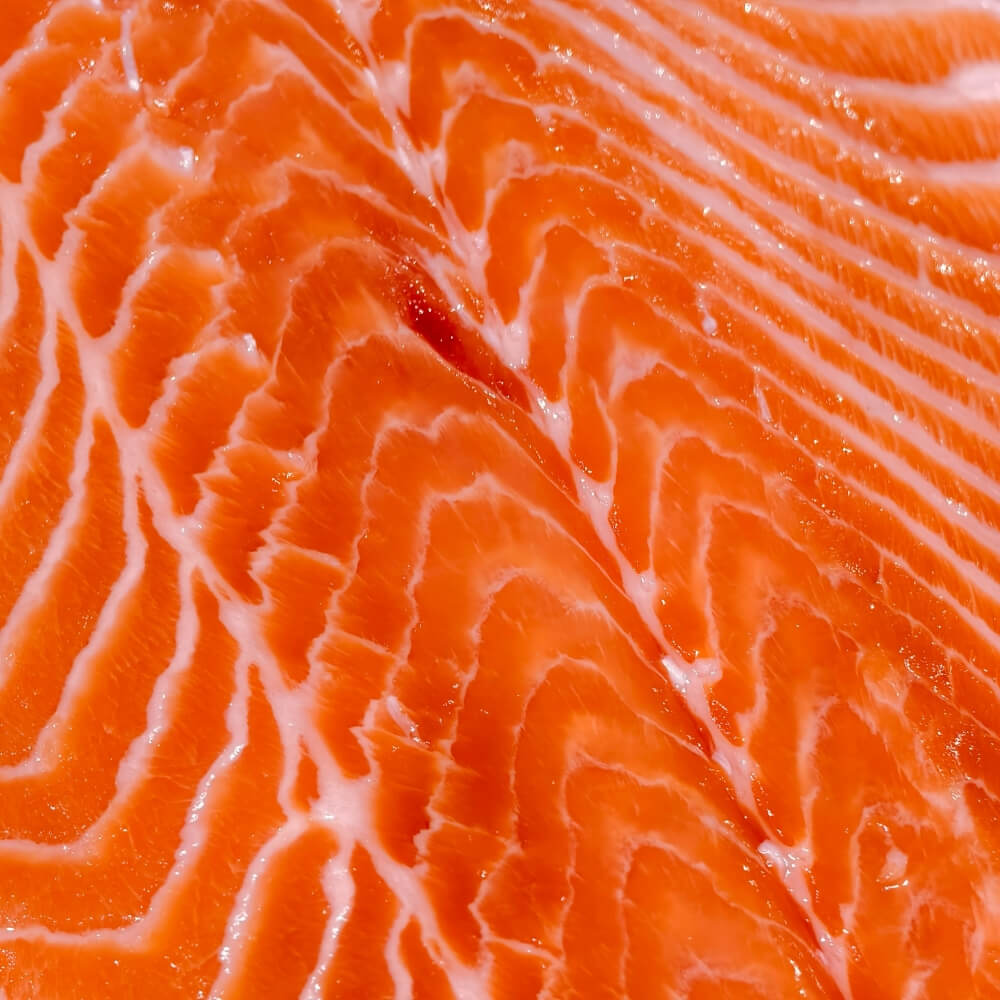 A close-up texture shot of fresh salmon fillet showing vibrant orange-pink flesh with white fat marbling.